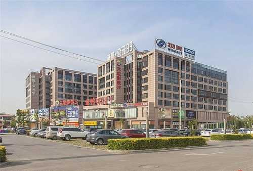 滨江区会议植物出租养护